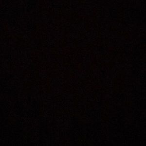 Meet your Posher, Ellie